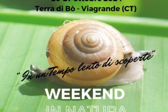 Weekend in natura